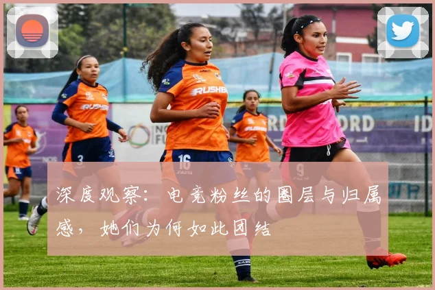 深度观察:电竞粉丝的圈层与归属感,她们为何如此团结